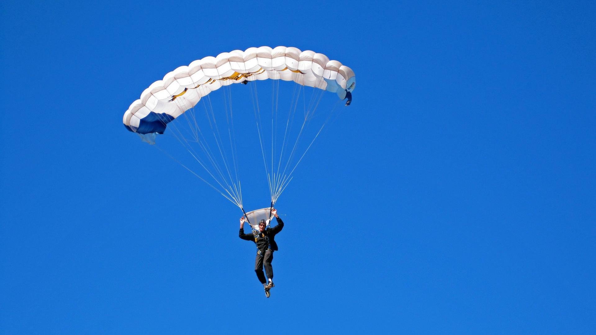 _老虎般的猛龙，鏖战到底笑到最后_，迅猛的老虎
